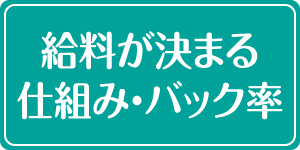 �����f�r���[Navi